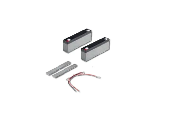 beninca kit of 2.1 Ah batteries with bracket and cable bt2.bat